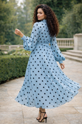 C3535 POLKA DOT PLEATED MAXI DRESS