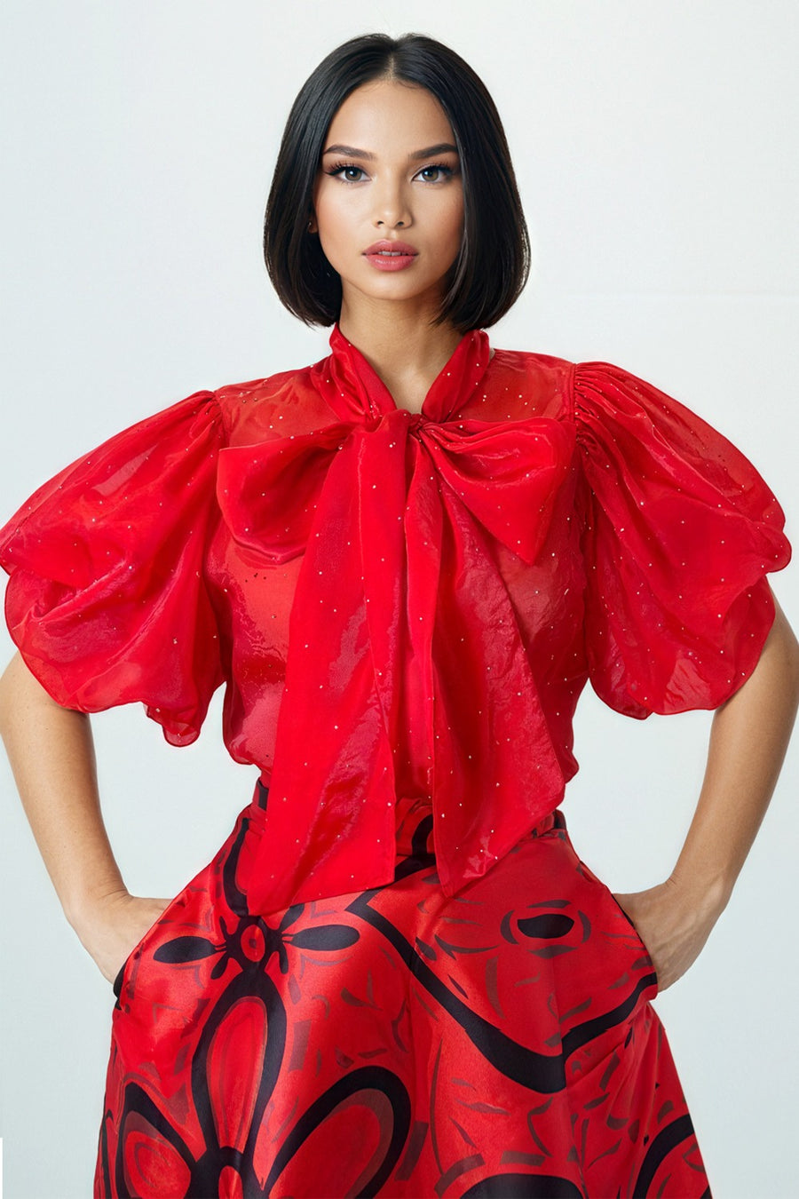 nancy yang ruffled sheer sleeve dress Nancy Yang Ruffled Sheer Sleeve Dress