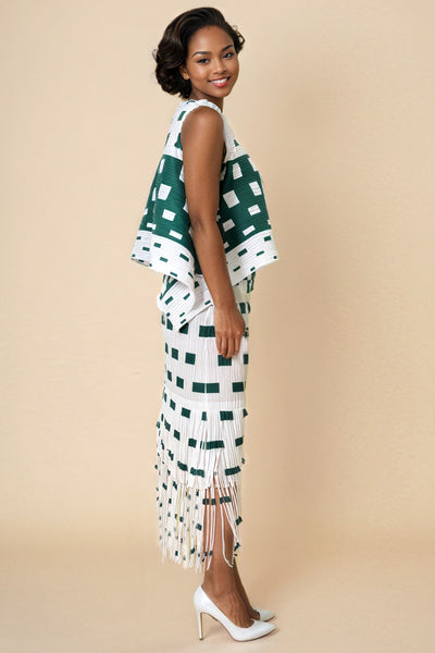 N2487 FRINGE SET