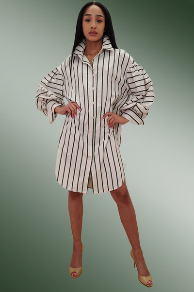 W856013 SHIRT DRESS (XL, XXL)
